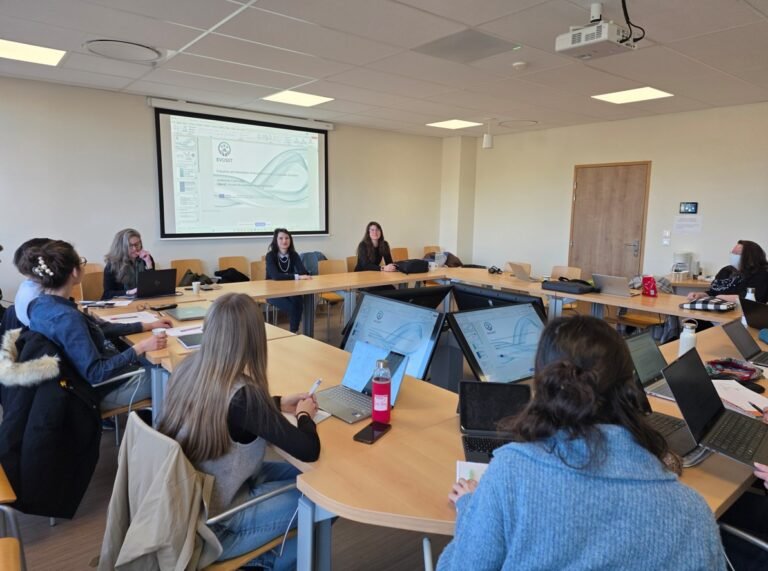 Interactive Workshop “Shaping the EVOSST Social Services Well-Being Questionnaire” in France